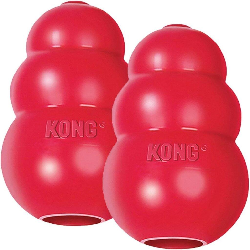 KONG Classic Dog Toy